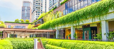 Green retail